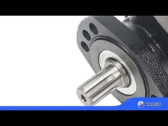 BMER-2-300-FH-SW Motore idraulico a bassa velocità, coppia alta, cilindrata di 18,08 pollici cubi