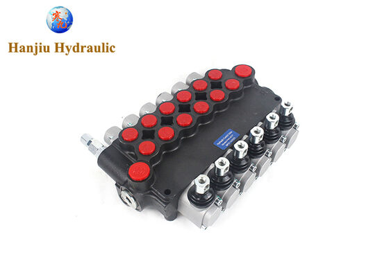 Valvole di controllo monoblocco della serie P80, maniglie con controllo molla, porte BSPP